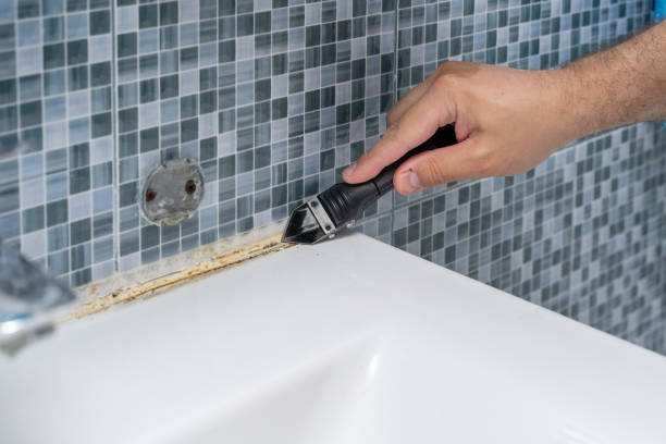 Mold Removal Process in Venice, IL